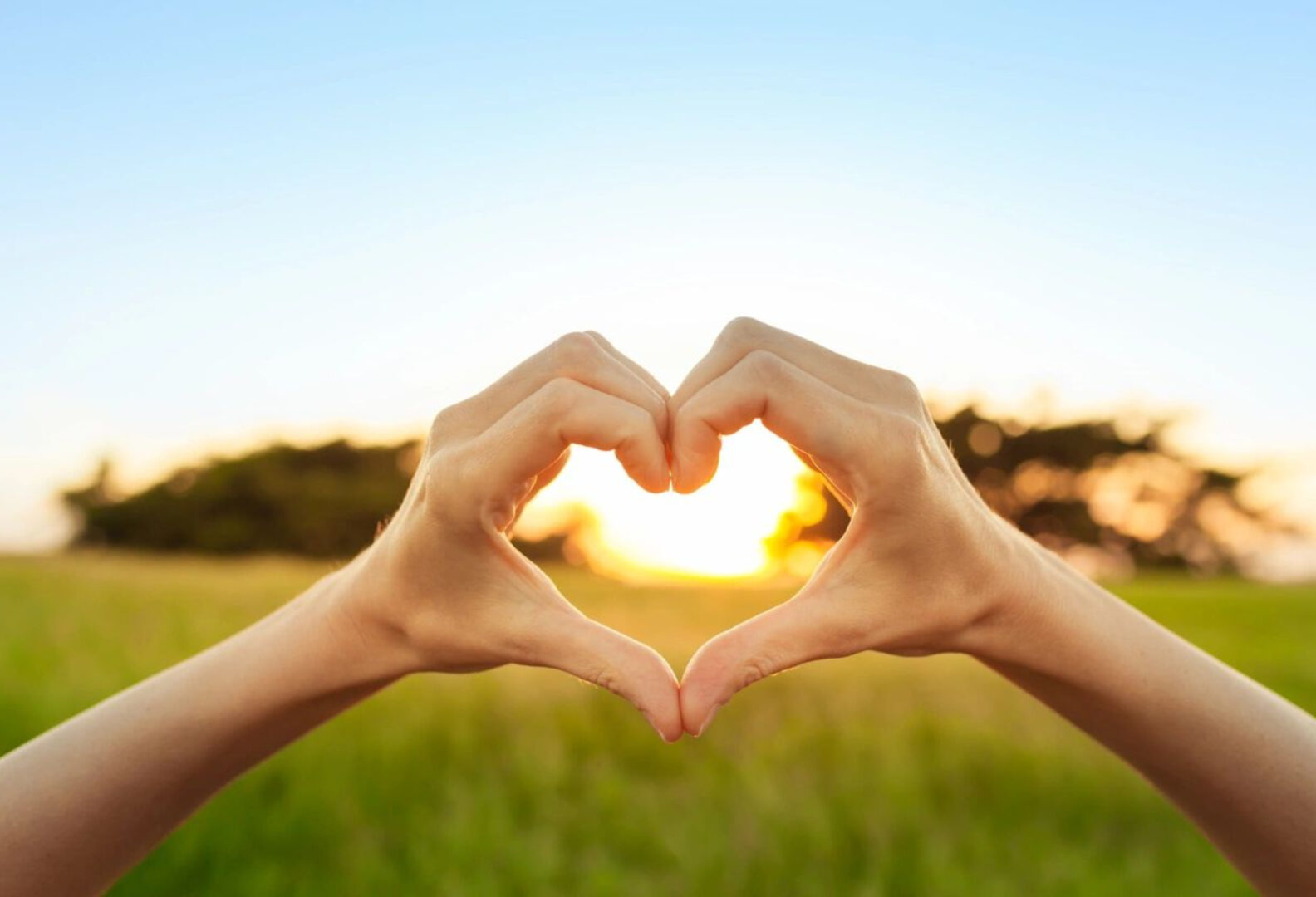 Heart shape made from hands of two people